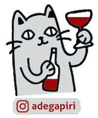 adegapiri wine vinho winehouse piri Sticker