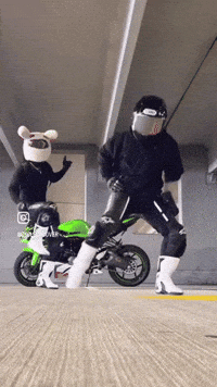 Dance Dancing GIF