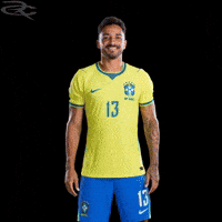 Fifa World Cup Brazil GIF by Respective