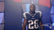 2018 Nfl Football GIF by New England Patriots