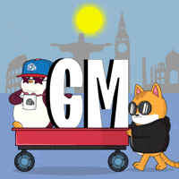 Good Morning Cat GIF by Pudgy Penguins