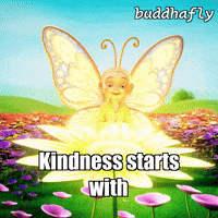 Flower Butterfly GIF by BuddhaFlyJourney
