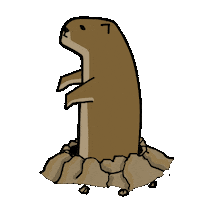 Happy Prairie Dog Sticker