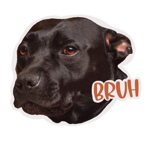 Best Friend Yes Sticker