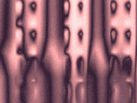 Video Art GIF by cskonopka