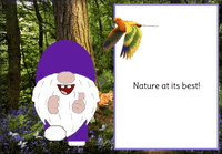 Gnome Enjoying Nature GIF