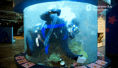Cleaning Siphon GIF by Monterey Bay Aquarium