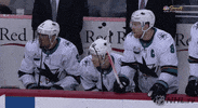 nhl happy sports celebration excited GIF