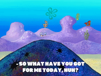 season 8 restraining spongebob GIF by SpongeBob SquarePants