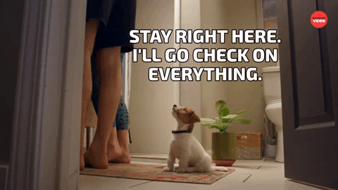 Dogs Stay Here GIF by BuzzFeed - Find & Share on GIPHY