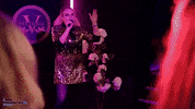 Channel Islands Drama GIF by Real Housewives of Jersey
