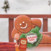Santa Saw That GIF by Canada Dry Ginger Ale