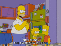 homer simpson GIF