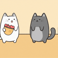 Cat Love GIF by MESA My Emotional Support Animal