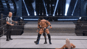 Aew GIF by ALL ELITE WRESTLING