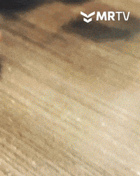 Cheers Fiesta GIF by Mr Urbina