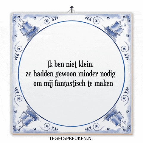 Nl Verandering GIF by Tegelspreuken.nl