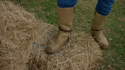 Comedy Country GIF by Yle Areena