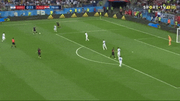 world cup argentina GIF by nss sports
