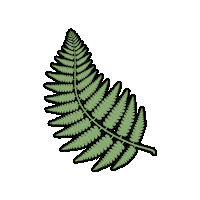 Carlyita green plant va fern Sticker