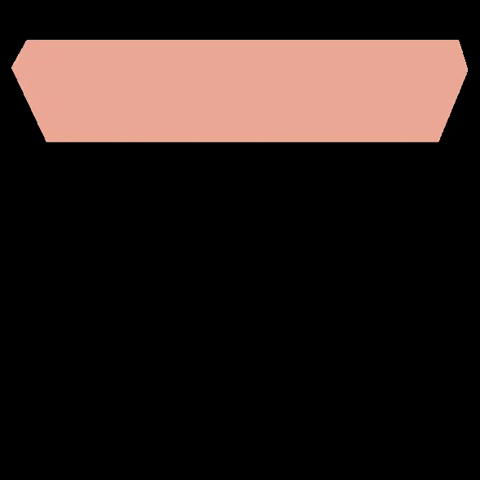 monsakbags giphygifmaker pink shape leather GIF