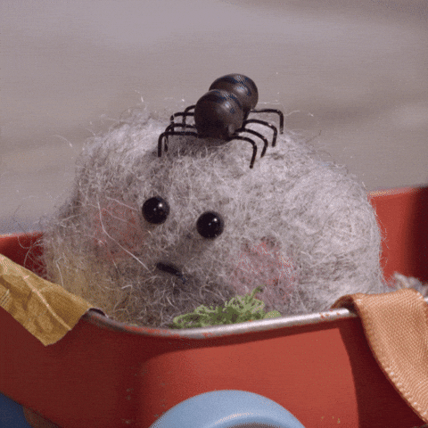 On Your Head Love GIF by Tweedy & Fluff