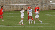 University Of North Carolina Soccer GIF by UNC Tar Heels