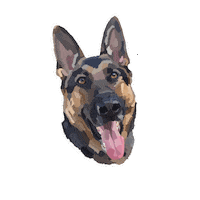 hdascoli694 dog dogs doggo german shepherd Sticker