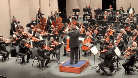 csocece giphyupload GIF