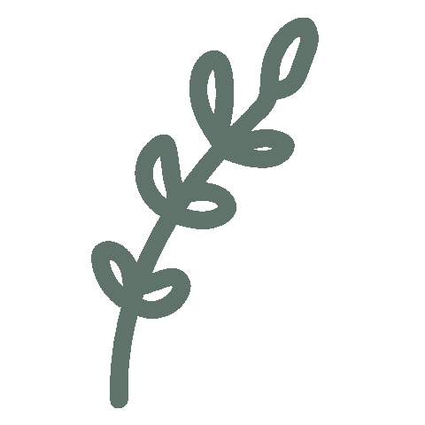 shopdayze giphyupload leaf outline greenleaf Sticker