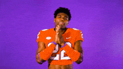 Oh Yeah Yes GIF by Clemson Tigers