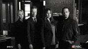 Nbc GIF by Law & Order