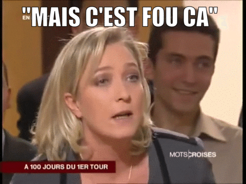 marine le pen archive GIF by franceinfo