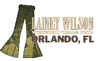 Wild Horses Florida Sticker by Lainey Wilson