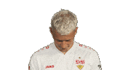 Look Up Vfb Stuttgart Sticker by Bundesliga