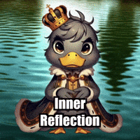 Wisdom Reflection GIF by sirduckbeth