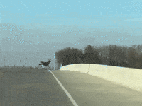 friends mom GIF