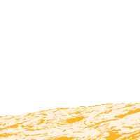 dutchtulips sunrise hills double visions dutch tulips Sticker