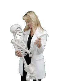 theaestheticimmersion learning anatomy Sticker