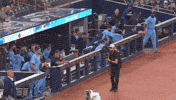 Run Out Blue Jays GIF by Toronto Blue Jays
