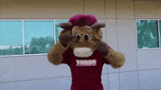 csudhteddytoro happy excited yay cheer GIF