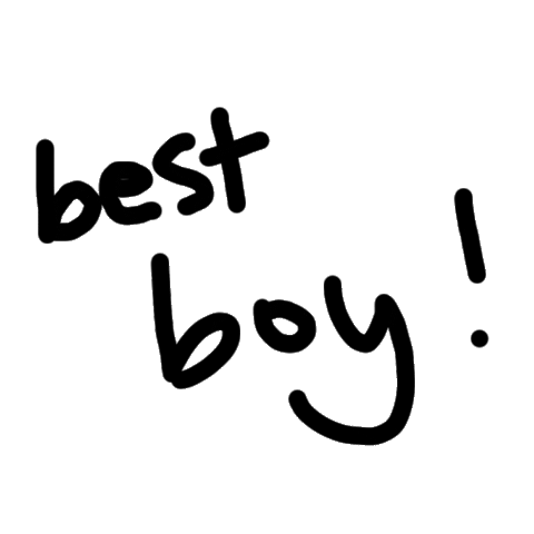 smolgul best line write black line Sticker