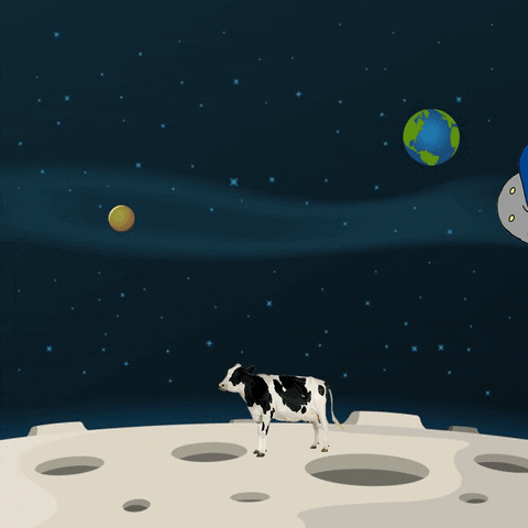 kylekum giphyupload space alien cow GIF