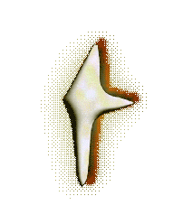 Text 3D Sticker by stargrrl