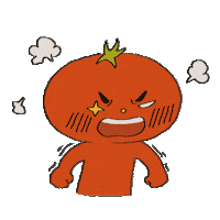 chejoou angry wth tomato chejoou Sticker
