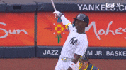 New York Yankees Sport GIF by MLB