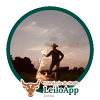 Black Angus Boi Sticker by LeiloApp