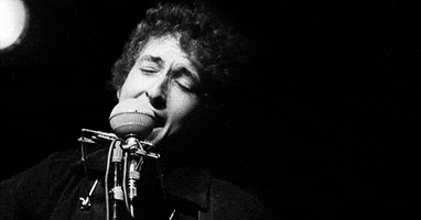 bob dylan musicians GIF