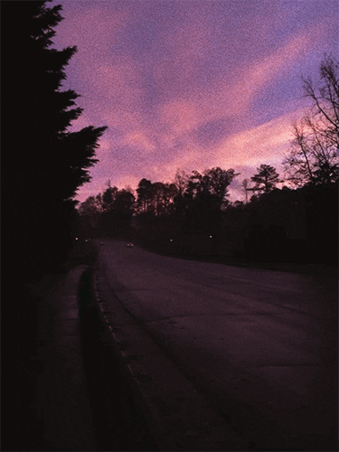 GIF by Scott Csoke