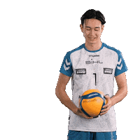 Volleyball Bouncehouse Sticker by SWD Powervolleys Düren